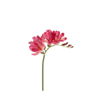 Freesia Kunsttak 53cm Cerise