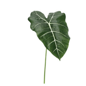 Alocasia Frydek Kunsttak 58cm Groen
