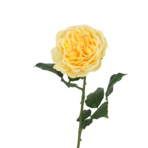 Engelse Tuinroos Kunsttak 56cm Geel