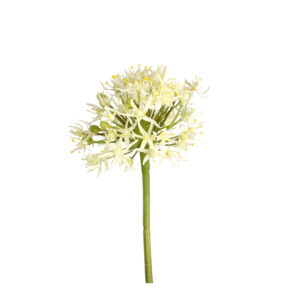 Allium Kunstbloem 61cm Creme