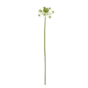 Ornithogalum Kunstbloem 65cm