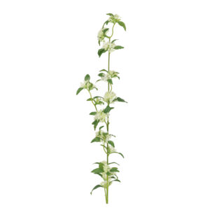 Spirea Kunsttak 104cm Creme