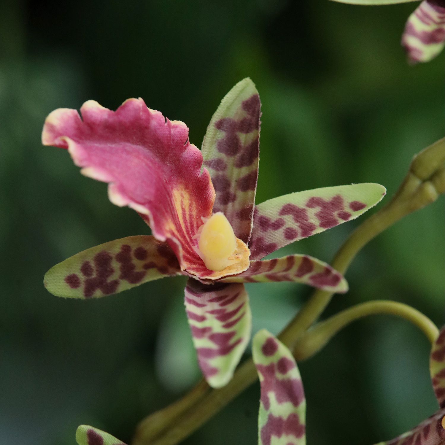 Dendrobium Kunst Orchidee 92cm Groen 1 Dendrobium Kunst Orchidee 92cm Groen