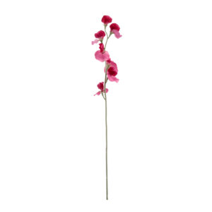 Lathyrus Kunsttak 64cm Cerise