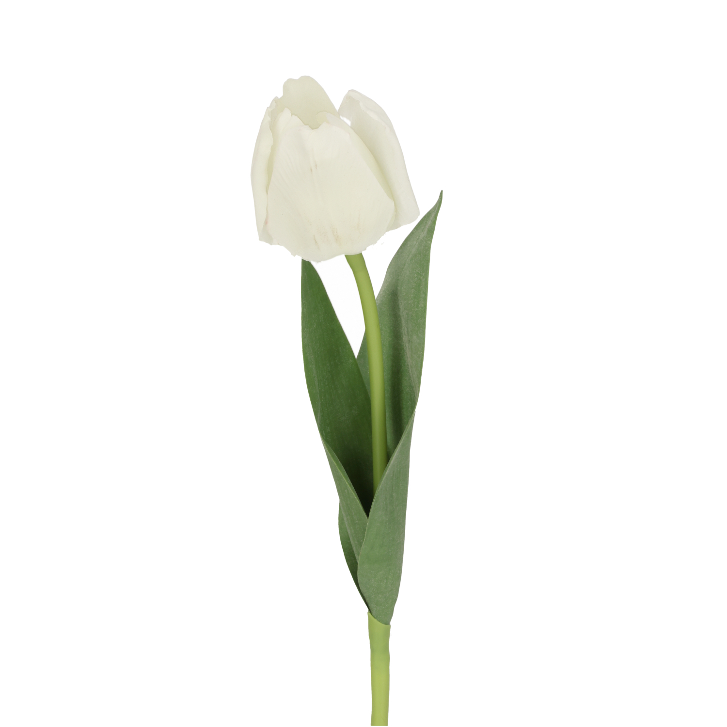 Tulp Kunstbloem 48cm Creme 1 Tulp Kunstbloem 48cm Creme