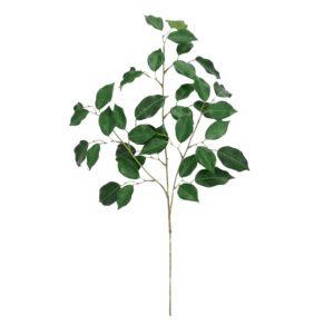 Ficus Kunsttak FR 77cm Groen