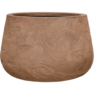 Baq Algar Darcy Brown 51x34cm