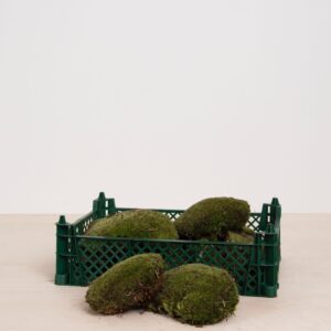 Bolmos (kussentjesmos)