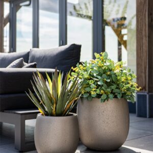 Grigio Metallic Balloon S 30x30 Champagne