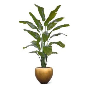 Traveller Palm promo 190cm