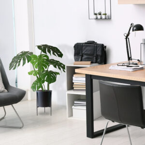 Monstera kunstplant 75cm RT