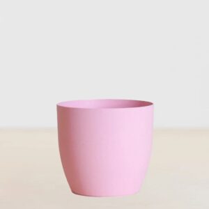 Oslo Lichtroze - P12