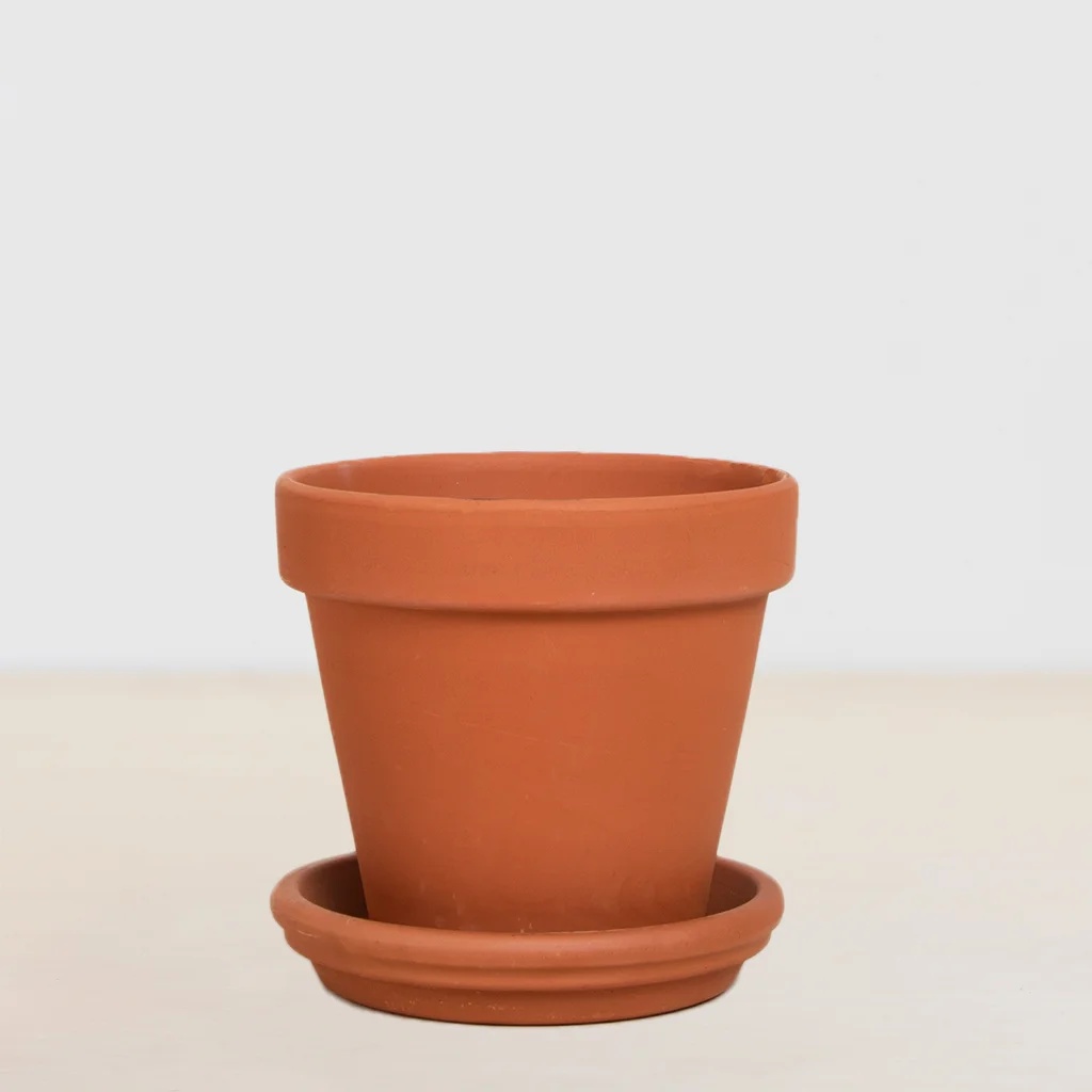 Barcelona - P12 1 Barcelona - P12