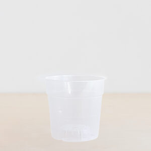 Transparante kwekerspot - p12