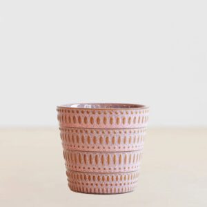 Montpellier - Roze - P12