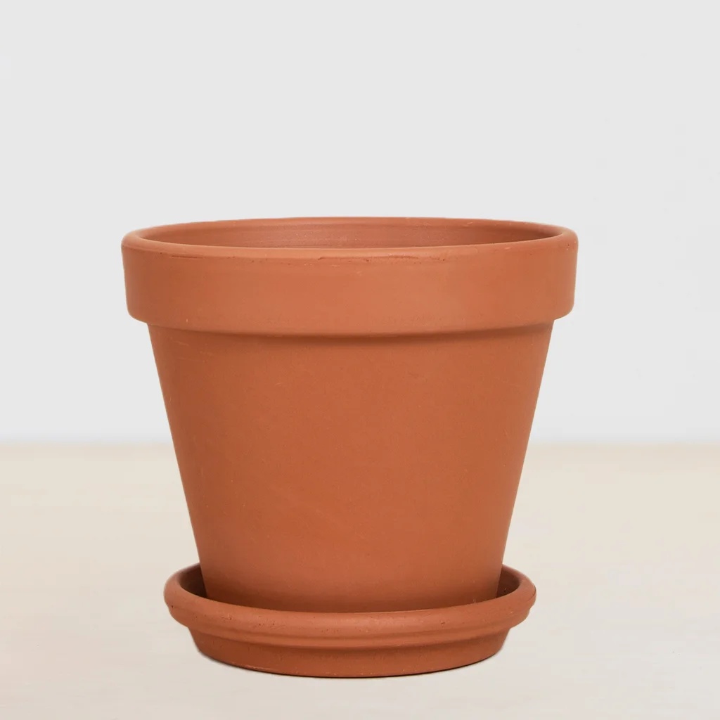 Barcelona - P17 1 Barcelona - P17