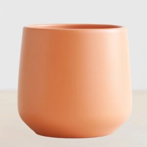 Boedapest - Oranje - P21