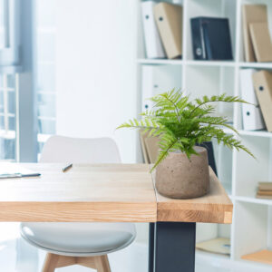 Pteris Varen kunstplant 30cm