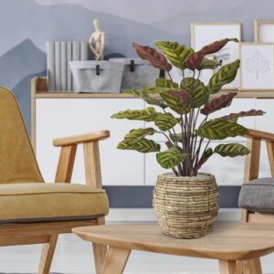 Red Calathea Makoyana kunstplant 60cm