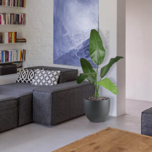 Traveller kunstpalm 100cm Brandvertragend