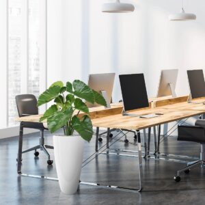 Alocasia Calidora kunstplant 70cm