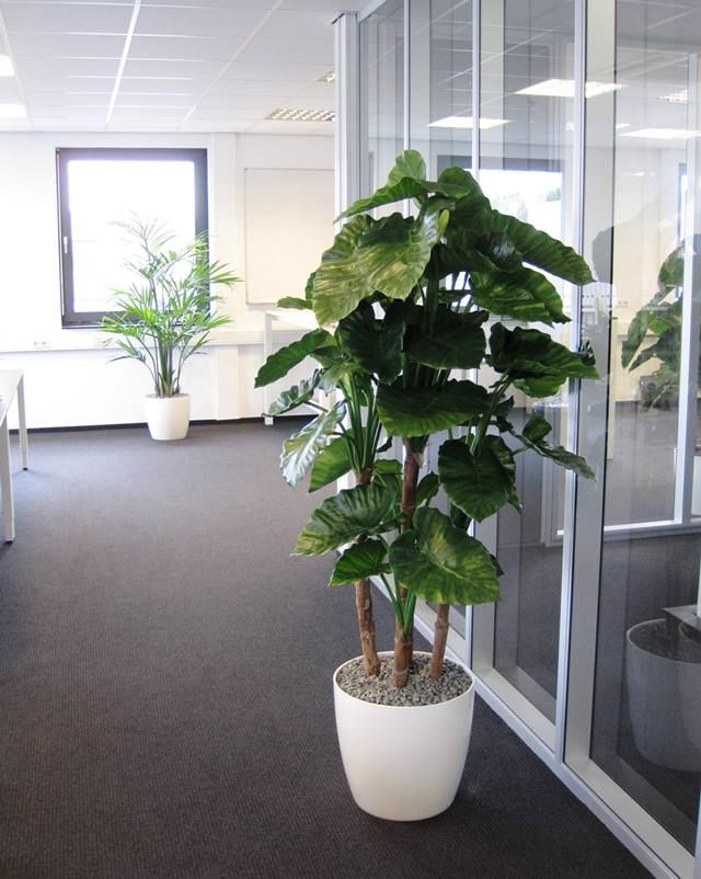 Alocasia Calidora deluxe kunstplant 165cm FR