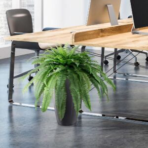 Boston Varen Giant D95 kunstplant