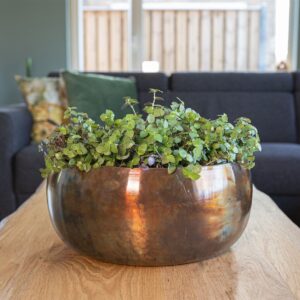 Bowl Kian sky burn D24 H11