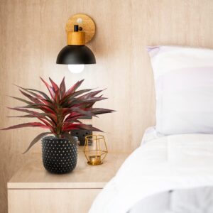 Draceana Kunstplant groen-rood 30cm