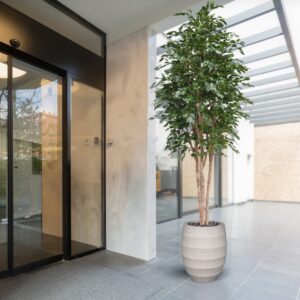 Ficus Exotica Kunstboom Deluxe 300cm groen