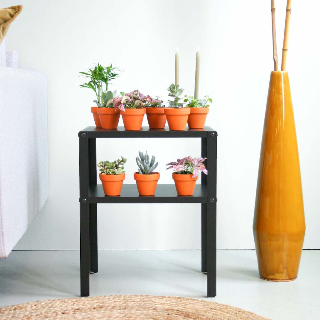 Groene Mini Plantenbox (10 stuks) 1 Groene Mini Plantenbox (10 stuks)