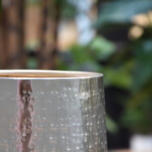 Bloempot Karakter 15x 16 cm - goud