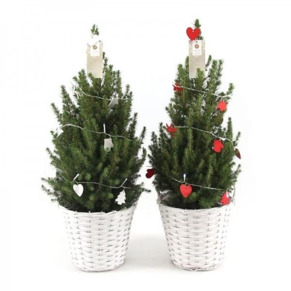Kerstboom met verlichting - P 26 cm 1 Kerstboom met verlichting - P 26 cm