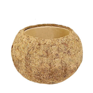 Kokodama pot (natuurlijke materialen) - P8