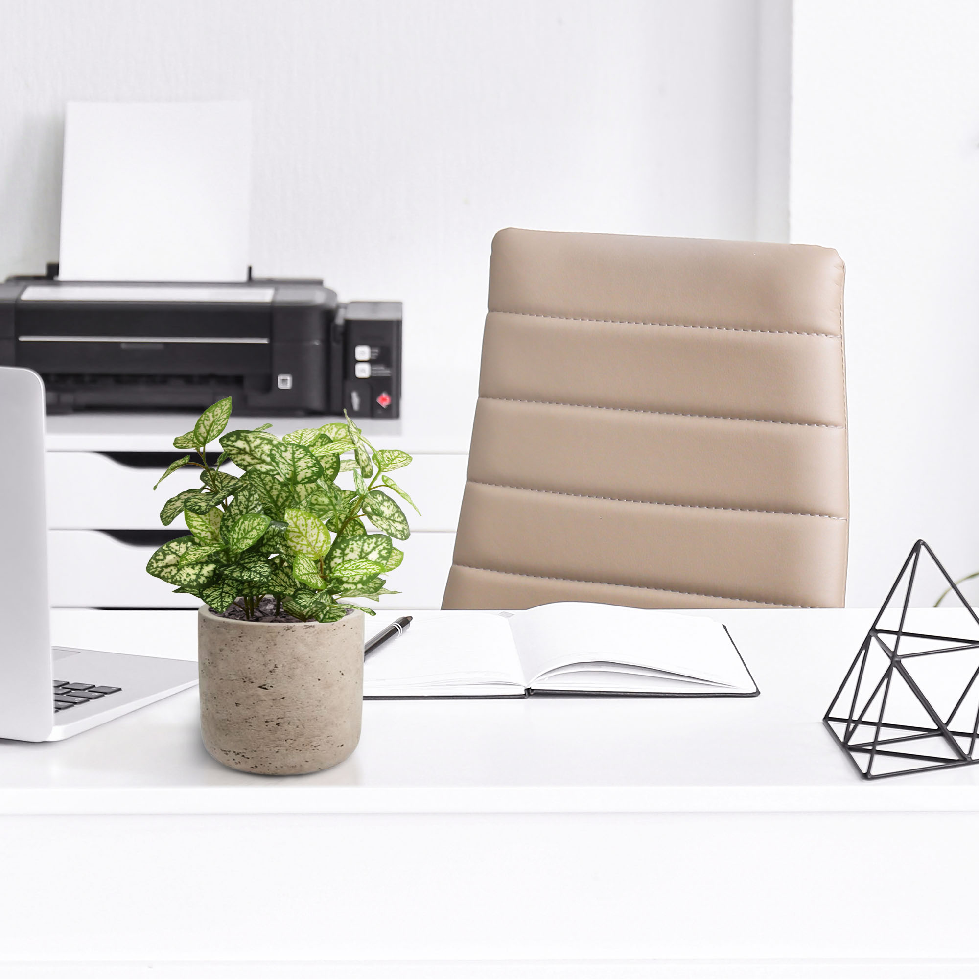 Hypoestes kunstplant 18cm - bont 1 Hypoestes kunstplant 18cm - bont