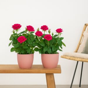 Potroos Duo (roze) - P12