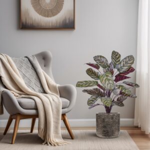 Red Calathea Makoyana 75cm Kunstplant Deluxe