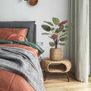 Red Calathea Makoyana FR Kunstplant 60cm