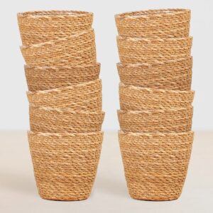 Zeegras plantenpotten voordeelbundel (12 stuks) - Sofia - P12