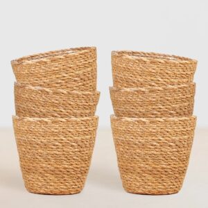 Zeegras plantenpotten bundel - Sofia - P12 (6 stuks)