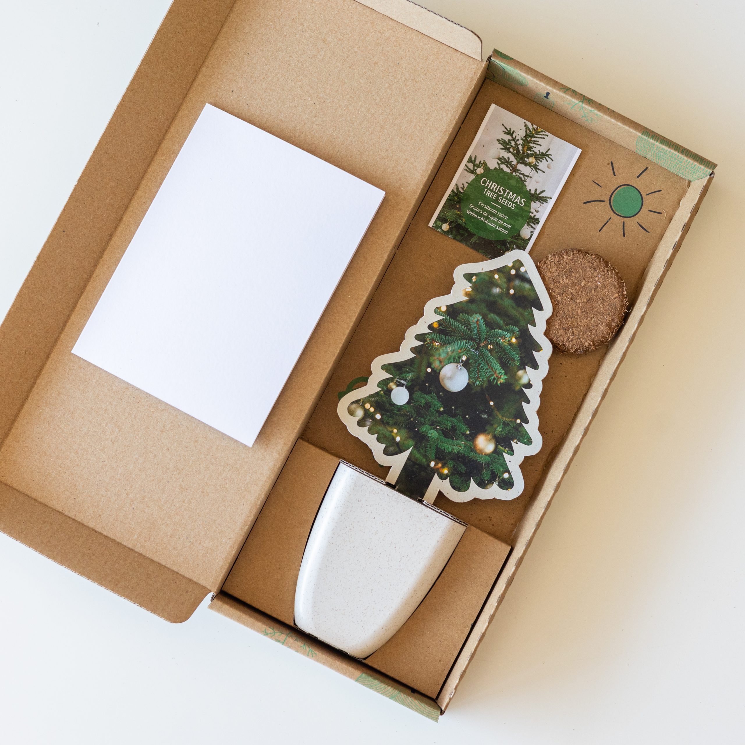 Kerstboomzaden (Nordmannspar) 1 Kerstboomzaden (Nordmannspar)