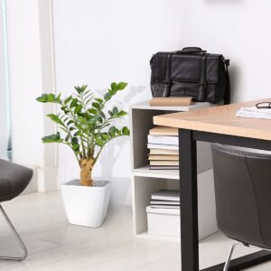 Zamioculcas kunstplant op voet 65cm