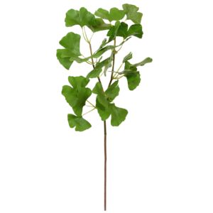 Ginkgo kunstbladtak deluxe 50