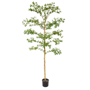 Bucida Buceras Kunstboom 210cm NT groen