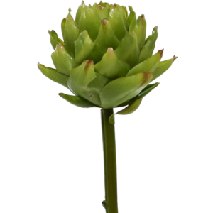 Artisjok kunststeelbloem 60 cm
