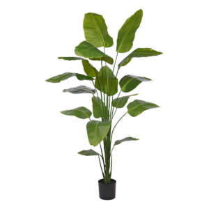 Strelitzia Nicolai kunstplant 210cm