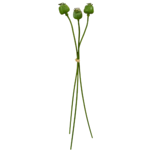 Kunst Papaver bundel x 3 55cm groen