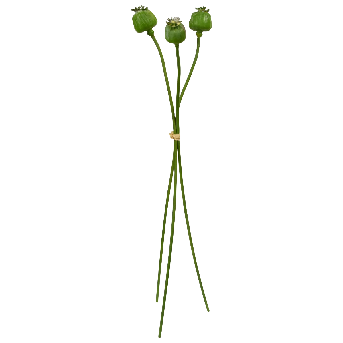 Kunst Papaver bundel x 3 55cm groen 1 Kunst Papaver bundel x 3 55cm groen