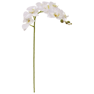 Phalaenopsis Kunstbloem 95cm Wit