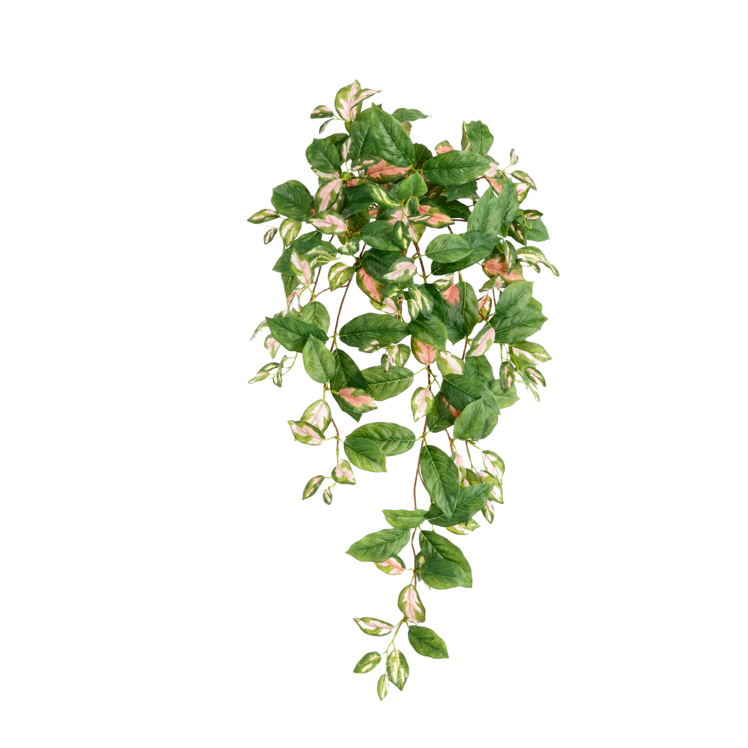 Hoya Carnosa Kunst Hangplant 80cm 1 Hoya Carnosa Kunst Hangplant 80cm